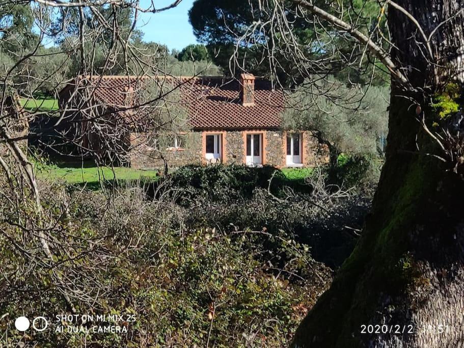 Olivae Villa Aracena Exteriör bild