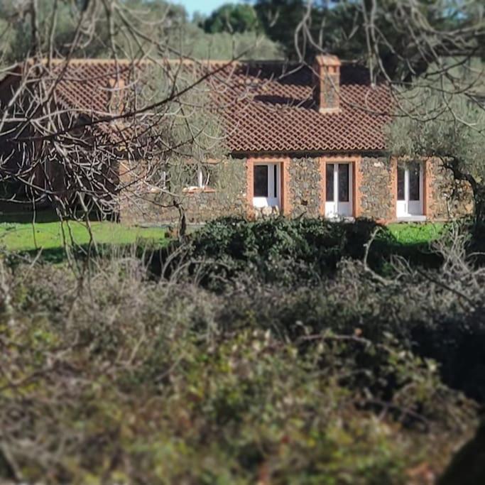 Olivae Villa Aracena Exteriör bild